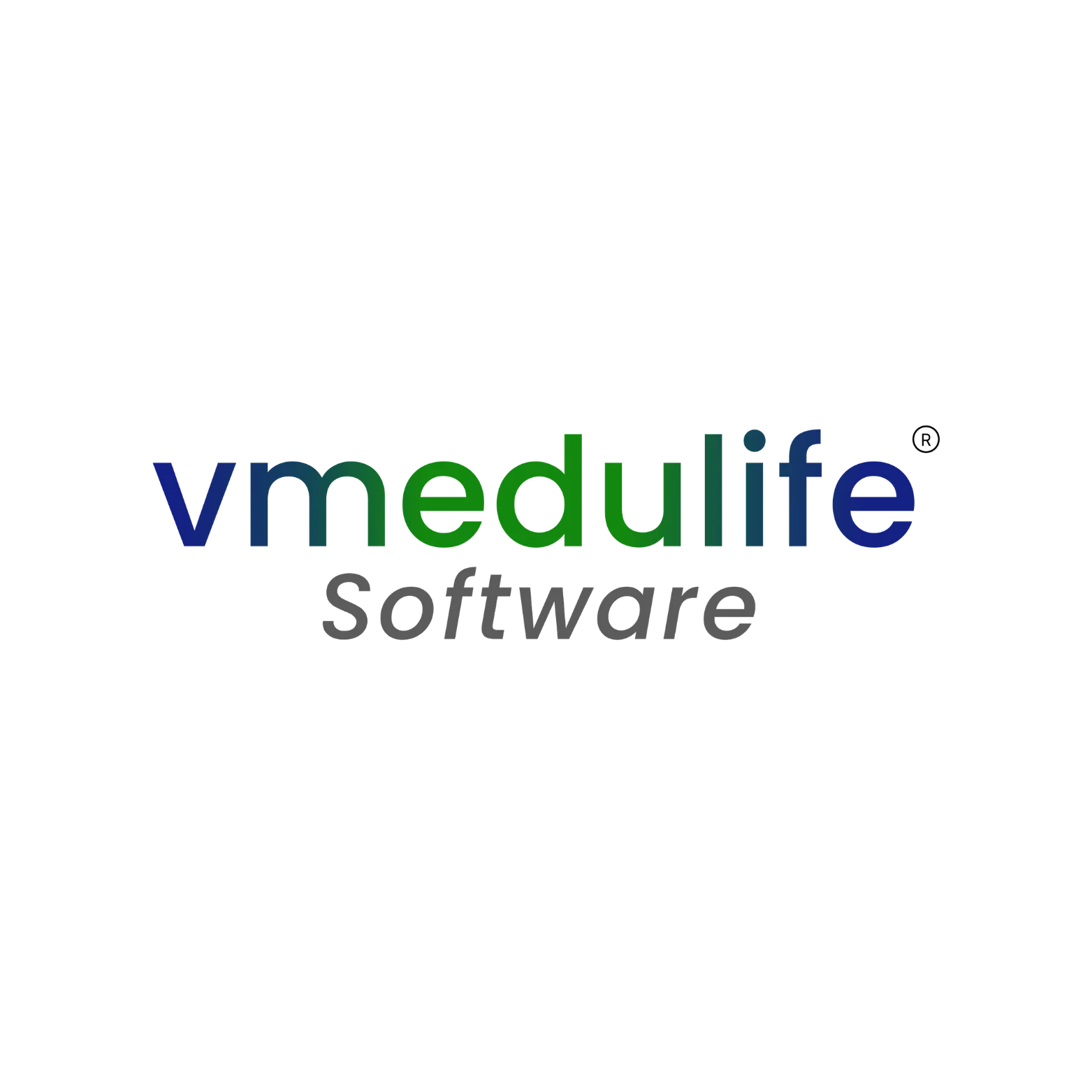 SEO for IT Company